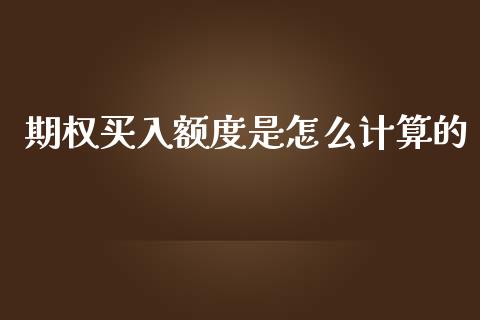 期权买入额度是怎么计算的_https://wap.qdlswl.com_财经资讯_第1张