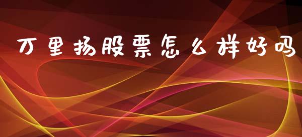 万里扬股票怎么样好吗_https://wap.qdlswl.com_理财投资_第1张