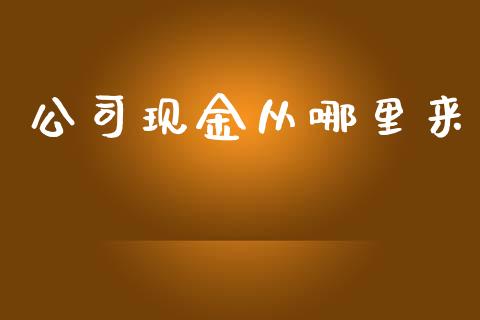 公司现金从哪里来_https://wap.qdlswl.com_全球经济_第1张