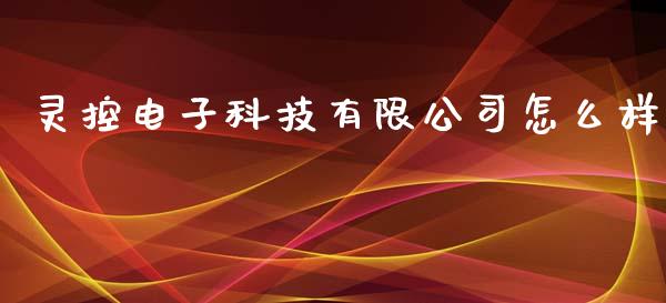 灵控电子科技有限公司怎么样_https://wap.qdlswl.com_理财投资_第1张