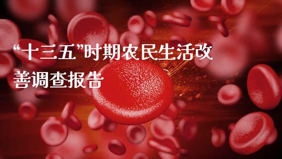 “十三五”时期农民生活改善调查报告_https://wap.qdlswl.com_理财投资_第1张