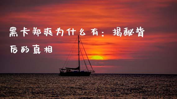 黑卡郑爽为什么有：揭秘背后的真相_https://wap.qdlswl.com_全球经济_第1张