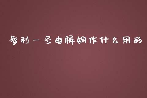 智利一号电解铜作什么用的_https://wap.qdlswl.com_全球经济_第1张