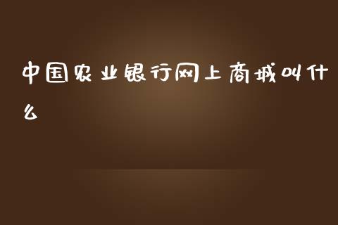 中国农业银行网上商城叫什么_https://wap.qdlswl.com_理财投资_第1张