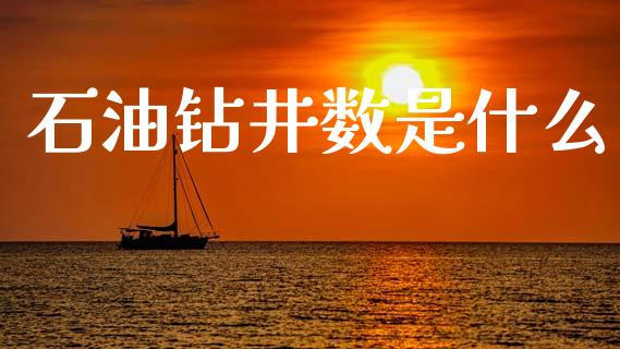 石油钻井数是什么_https://wap.qdlswl.com_全球经济_第1张