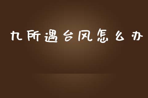 九所遇台风怎么办_https://wap.qdlswl.com_理财投资_第1张