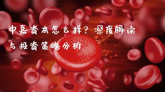 中嘉资本怎么样？深度解读与投资策略分析_https://wap.qdlswl.com_全球经济_第1张