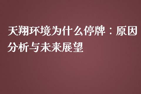 天翔环境为什么停牌：原因分析与未来展望_https://wap.qdlswl.com_理财投资_第1张