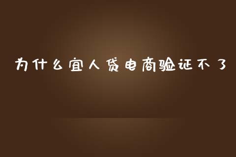 为什么宜人贷电商验证不了_https://wap.qdlswl.com_全球经济_第1张