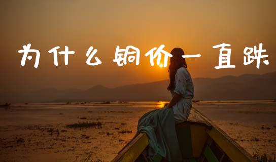 为什么铜价一直跌_https://wap.qdlswl.com_财经资讯_第1张
