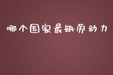 哪个国家最缺劳动力_https://wap.qdlswl.com_证券新闻_第1张