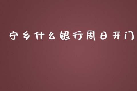 宁乡什么银行周日开门_https://wap.qdlswl.com_全球经济_第1张