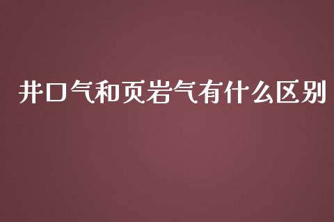 井口气和页岩气有什么区别_https://wap.qdlswl.com_财经资讯_第1张