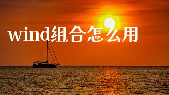 wind组合怎么用_https://wap.qdlswl.com_证券新闻_第1张