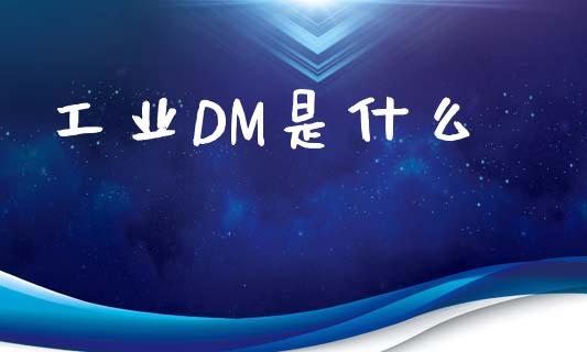 工业DM是什么_https://wap.qdlswl.com_财经资讯_第1张