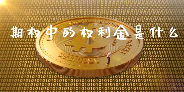 期权中的权利金是什么_https://wap.qdlswl.com_理财投资_第1张