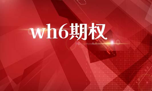 wh6期权_https://wap.qdlswl.com_财经资讯_第1张