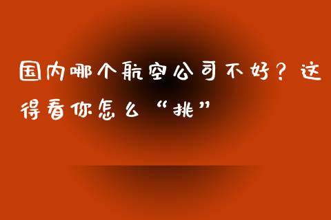 国内哪个航空公司不好？这得看你怎么“挑”_https://wap.qdlswl.com_财经资讯_第1张