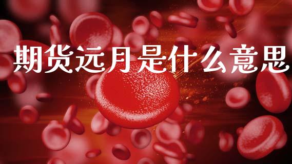 期货远月是什么意思_https://wap.qdlswl.com_全球经济_第1张