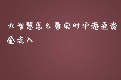 大智慧怎么看实时沪港通资金流入_https://wap.qdlswl.com_证券新闻_第1张