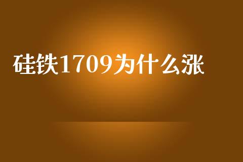 硅铁1709为什么涨_https://wap.qdlswl.com_证券新闻_第1张