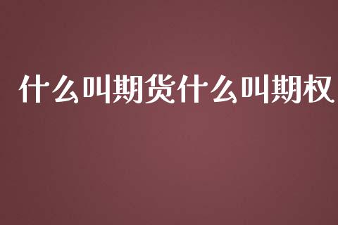 什么叫期货什么叫期权_https://wap.qdlswl.com_理财投资_第1张