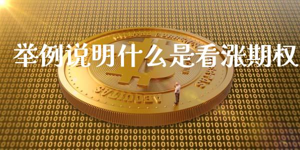 举例说明什么是看涨期权_https://wap.qdlswl.com_证券新闻_第1张