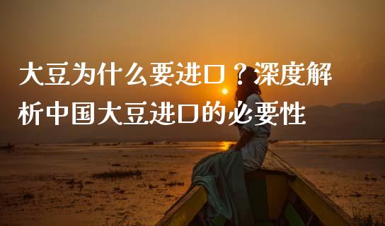 大豆为什么要进口？深度解析中国大豆进口的必要性_https://wap.qdlswl.com_理财投资_第1张