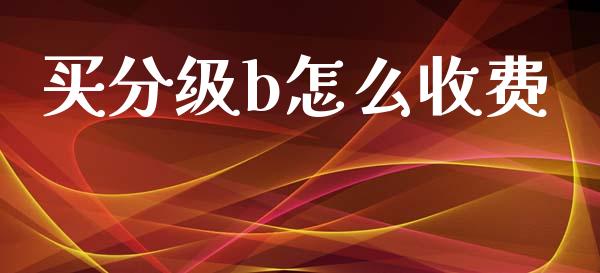 买分级b怎么收费_https://wap.qdlswl.com_证券新闻_第1张