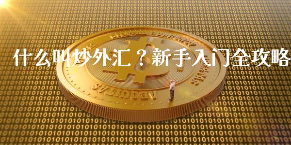 什么叫炒外汇？新手入门全攻略_https://wap.qdlswl.com_证券新闻_第1张