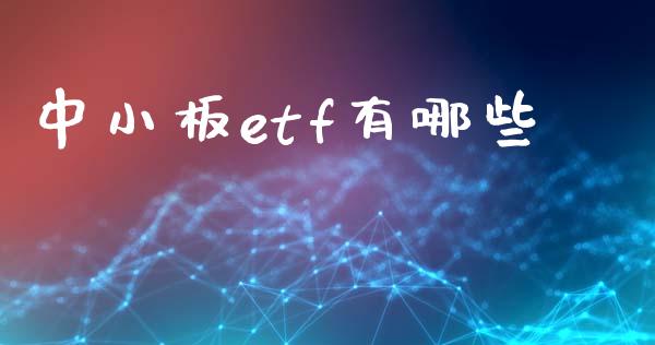 中小板etf有哪些_https://wap.qdlswl.com_理财投资_第1张