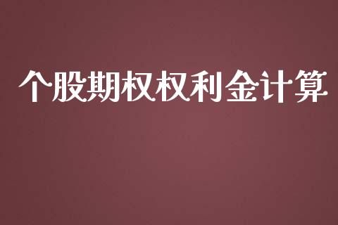 个股期权权利金计算_https://wap.qdlswl.com_全球经济_第1张