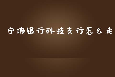 宁波银行科技支行怎么走_https://wap.qdlswl.com_财经资讯_第1张