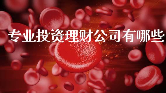 专业投资理财公司有哪些_https://wap.qdlswl.com_理财投资_第1张