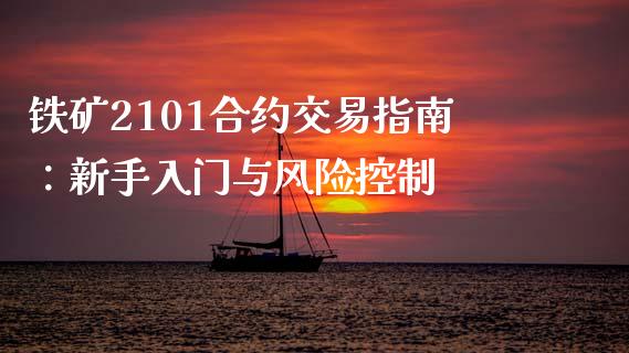 铁矿2101合约交易指南：新手入门与风险控制_https://wap.qdlswl.com_证券新闻_第1张