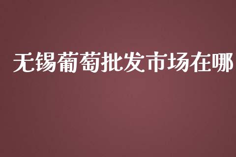 无锡葡萄批发市场在哪_https://wap.qdlswl.com_财经资讯_第1张