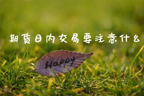 期货日内交易要注意什么_https://wap.qdlswl.com_理财投资_第1张