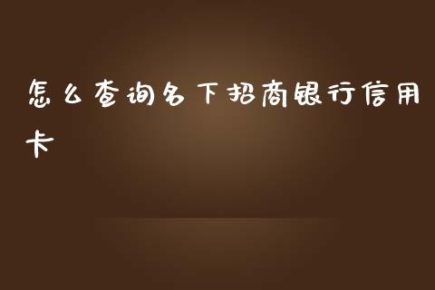 怎么查询名下招商银行信用卡_https://wap.qdlswl.com_财经资讯_第1张