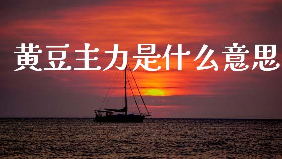 黄豆主力是什么意思_https://wap.qdlswl.com_理财投资_第1张