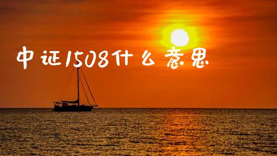 中证1508什么意思_https://wap.qdlswl.com_财经资讯_第1张