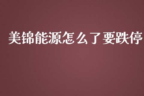 美锦能源怎么了要跌停_https://wap.qdlswl.com_全球经济_第1张