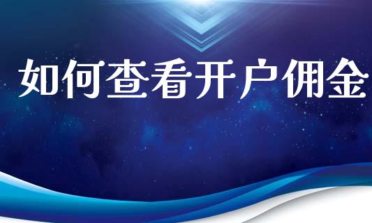 如何查看开户佣金_https://wap.qdlswl.com_财经资讯_第1张