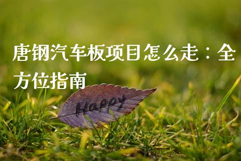 唐钢汽车板项目怎么走：全方位指南_https://wap.qdlswl.com_理财投资_第1张