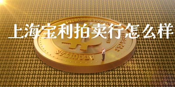 上海宝利拍卖行怎么样_https://wap.qdlswl.com_理财投资_第1张