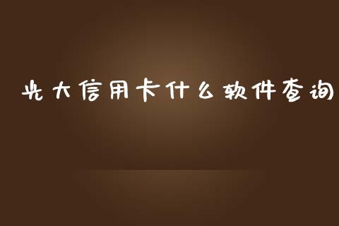 光大信用卡什么软件查询_https://wap.qdlswl.com_证券新闻_第1张