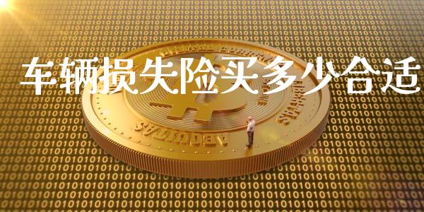 车辆损失险买多少合适_https://wap.qdlswl.com_理财投资_第1张