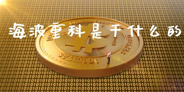 海波重科是干什么的_https://wap.qdlswl.com_理财投资_第1张