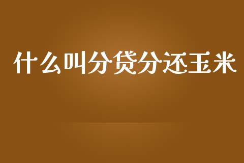 什么叫分贷分还玉米_https://wap.qdlswl.com_全球经济_第1张