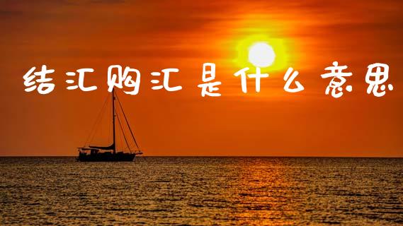 结汇购汇是什么意思_https://wap.qdlswl.com_证券新闻_第1张