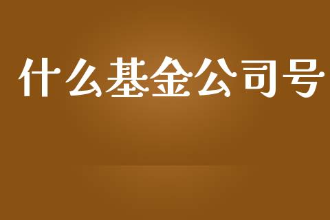 什么基金公司号_https://wap.qdlswl.com_财经资讯_第1张